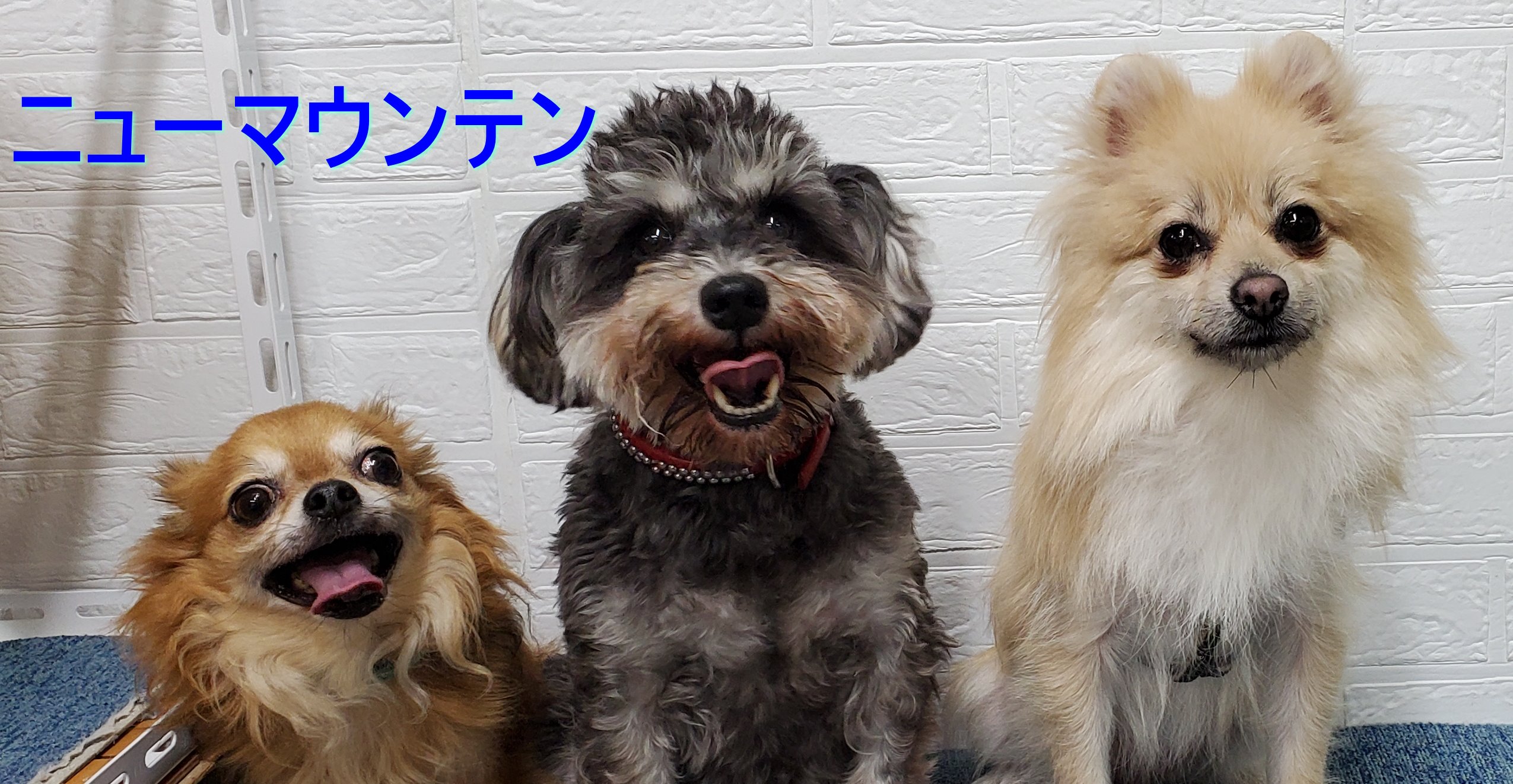 ヘッダー画像
