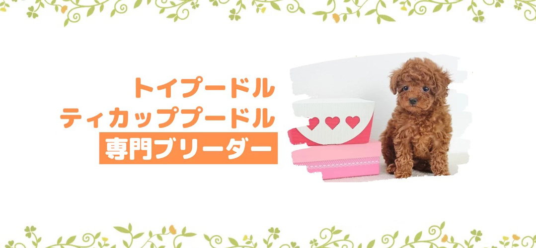 ヘッダー画像