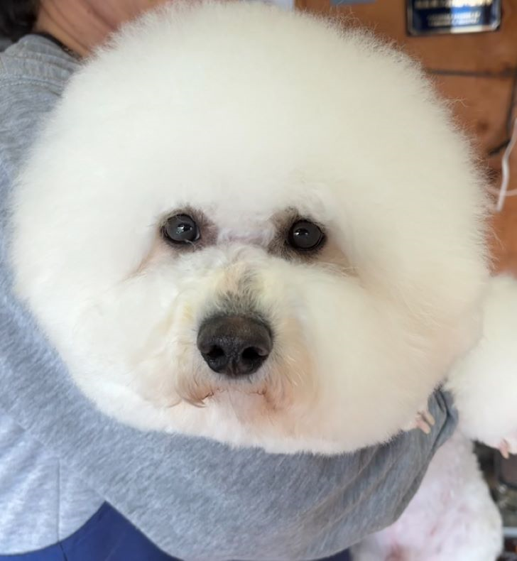 ヘッダー画像