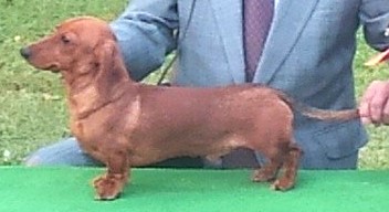 ヘッダー画像