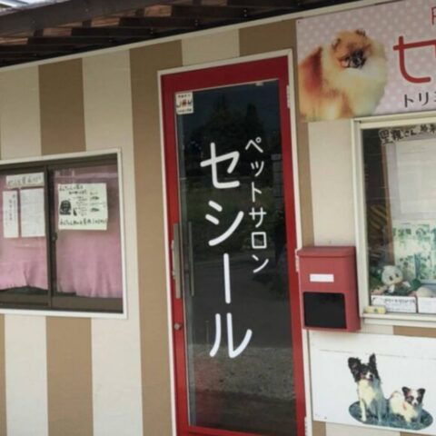 アイコン画像