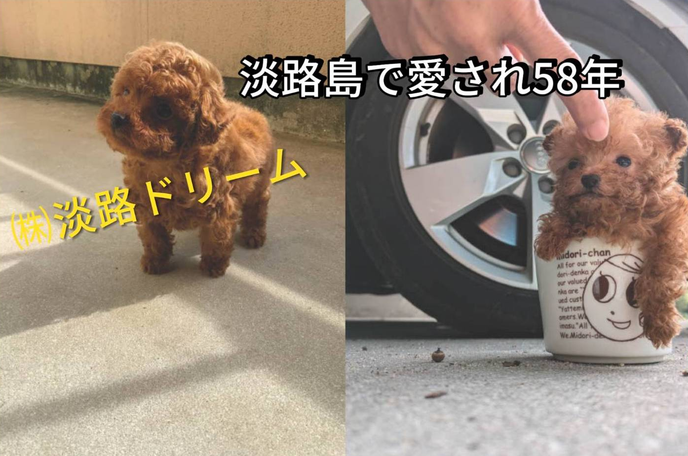 ヘッダー画像