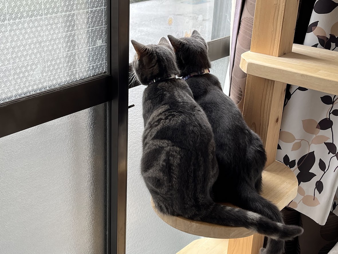 ギャラリー画像