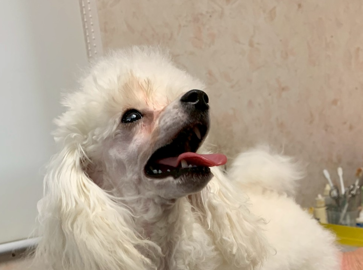 ヘッダー画像